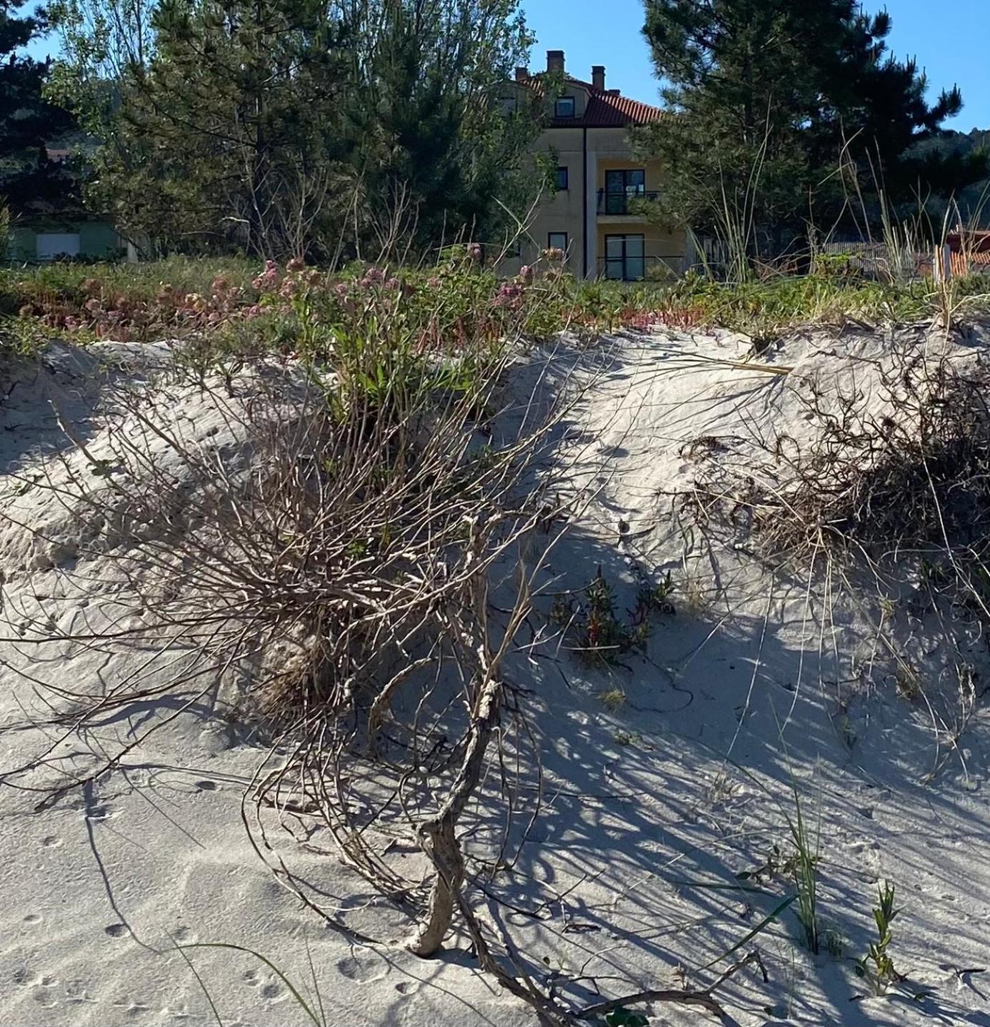 Apto Las Dunas De Langosteira En Finisterre Exteriör bild